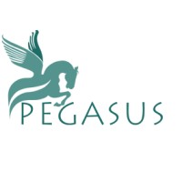 Pegasus Assets Reconstruction